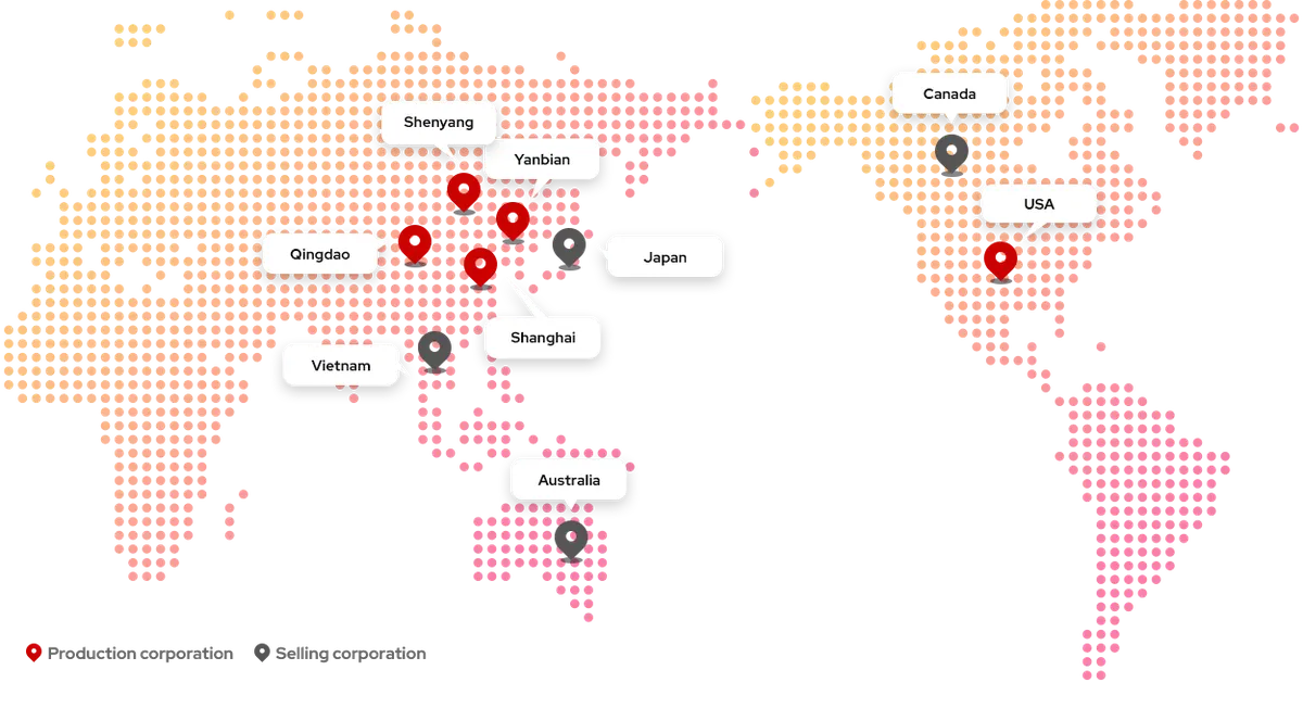 Nongshim global production and sales footprint